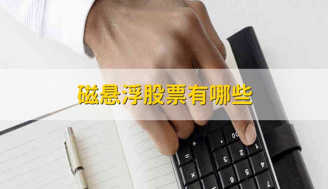 磁悬浮股票有哪些 磁悬浮股票资金流向介绍